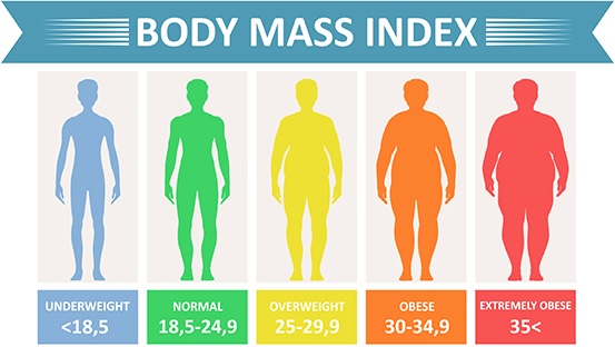 BMI chart